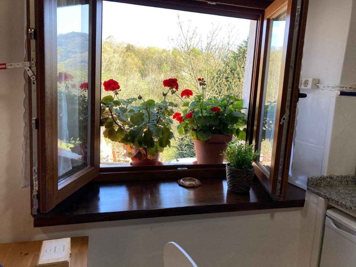 Casa Elena Cangas De Onis Con Wifi Y Parking Gratuito Zewnętrze zdjęcie