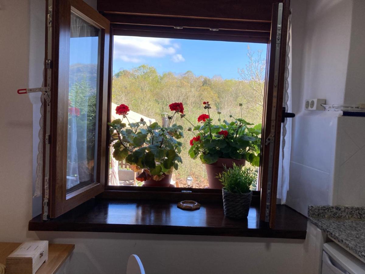 Casa Elena Cangas De Onis Con Wifi Y Parking Gratuito Zewnętrze zdjęcie