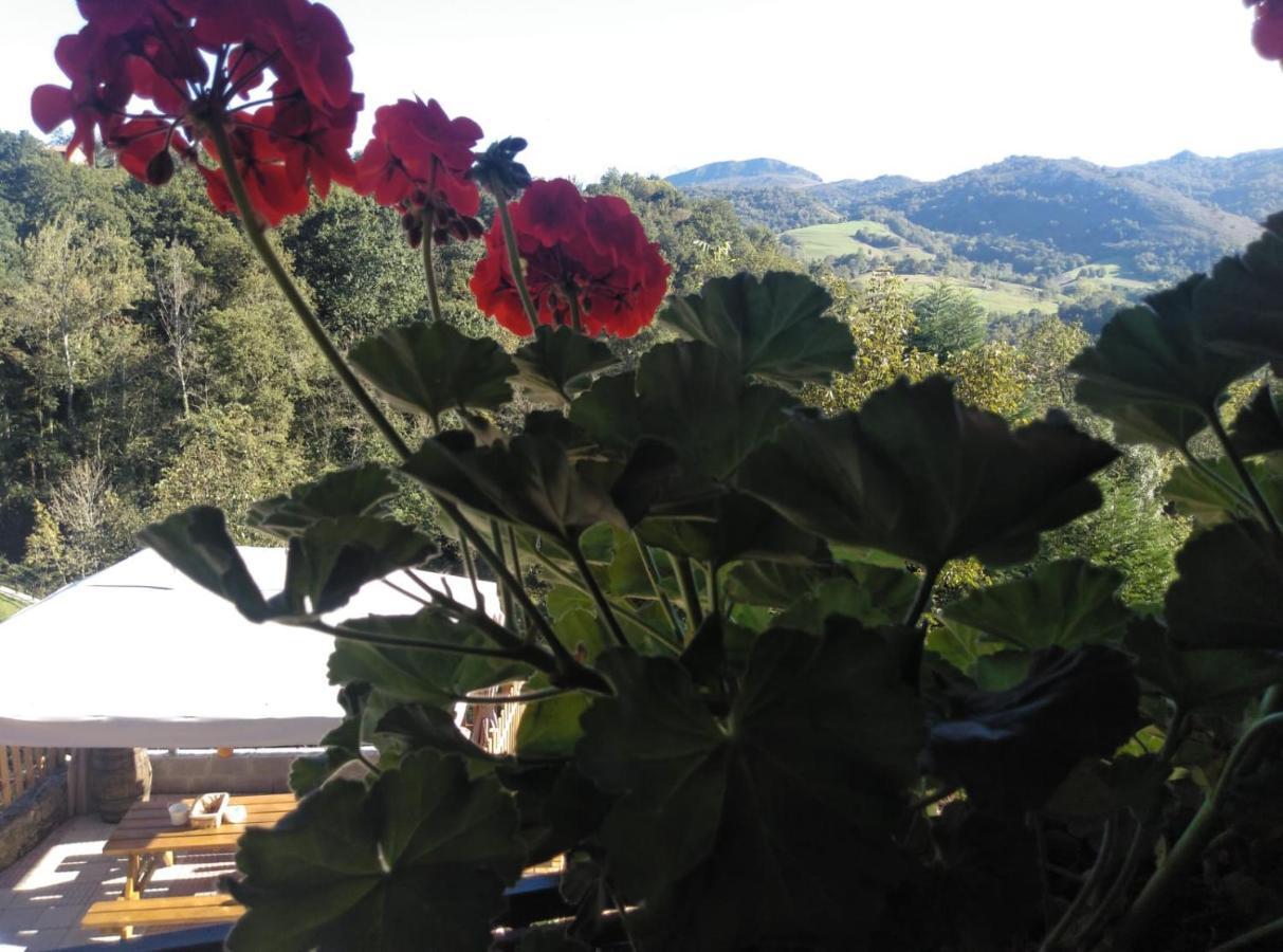 Casa Elena Cangas De Onis Con Wifi Y Parking Gratuito Zewnętrze zdjęcie